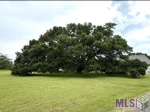 38326 Henry Rd, Prairieville, LA 70769 - #2