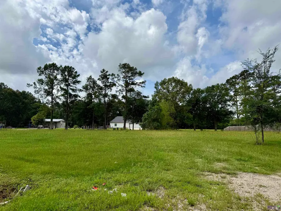 44077 Lebeau Rd, Saint Amant, LA 70774 - #2