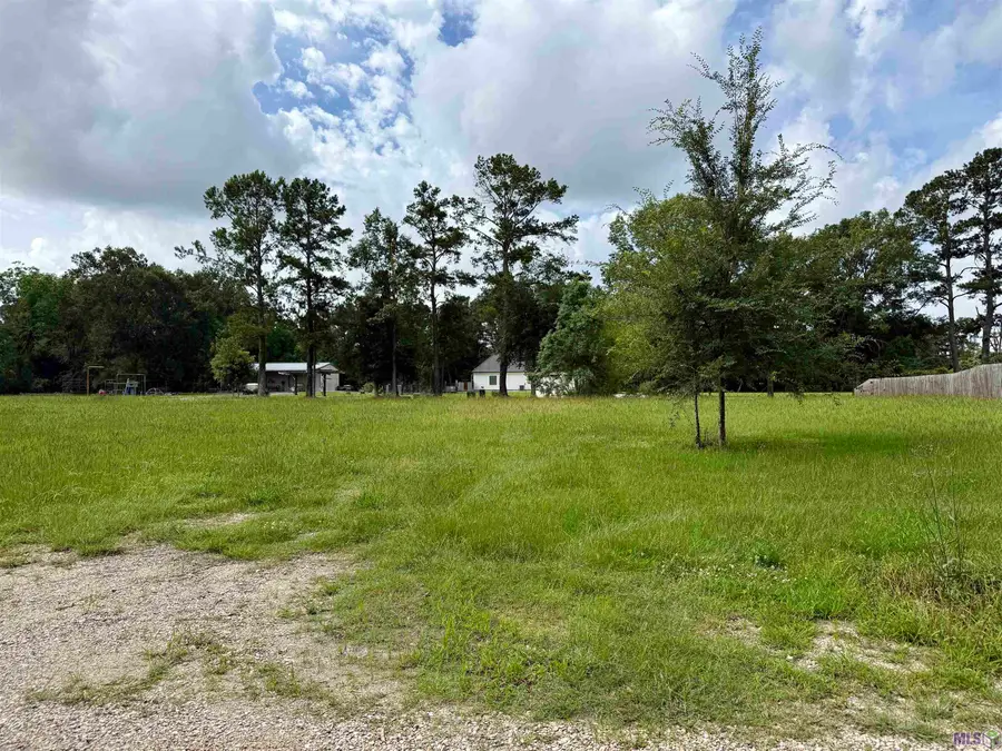 44077 Lebeau Rd, Saint Amant, LA 70774 - #3