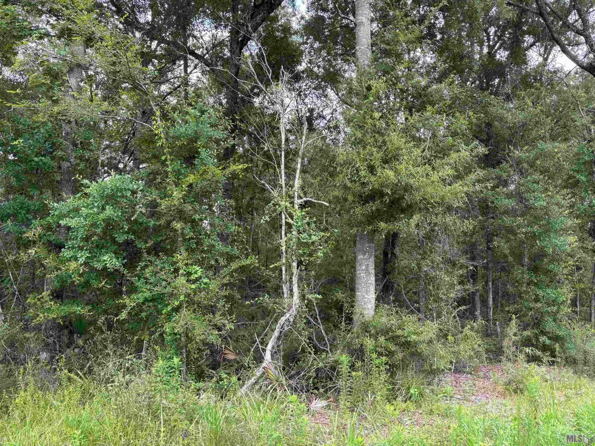 TBD Duff Rd, Walker, LA 70785 - #1