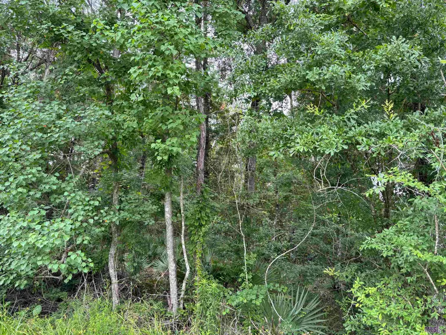 TBD Duff Rd, Walker, LA 70785 - #2