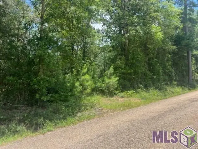20050 Sylvest Road, Franklinton, LA 70438 - #2
