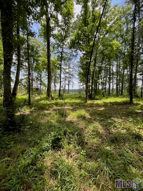 J.h. Jenkins Ln, Denham Springs, LA 70706