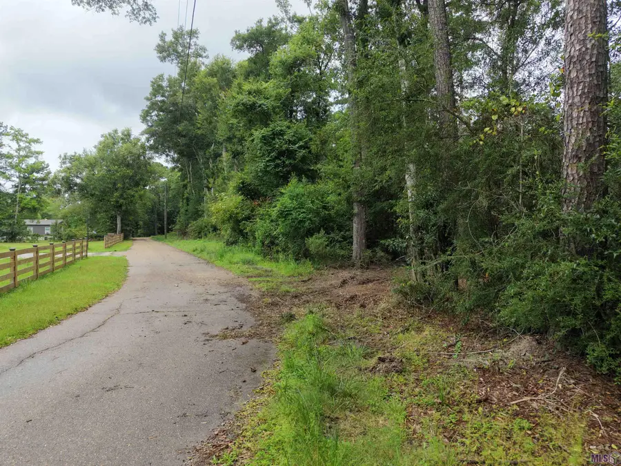 Tract D Joiner Lane, Ponchatoula, LA 70454 - #2