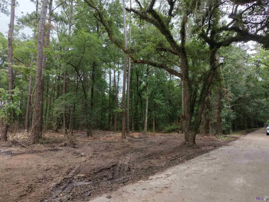 Tract C Esterbrook Rd, Ponchatoula, LA 70454 - #2