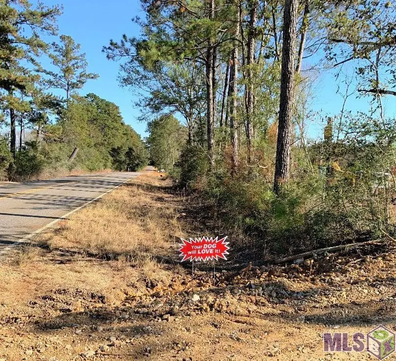 1B La Hwy 63, Clinton, LA 70722 - #1