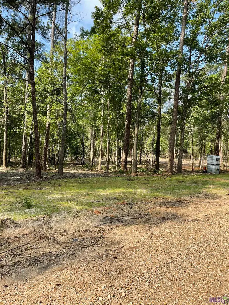 8177 Hepzibah Rd, Clinton, LA 70722 - #2