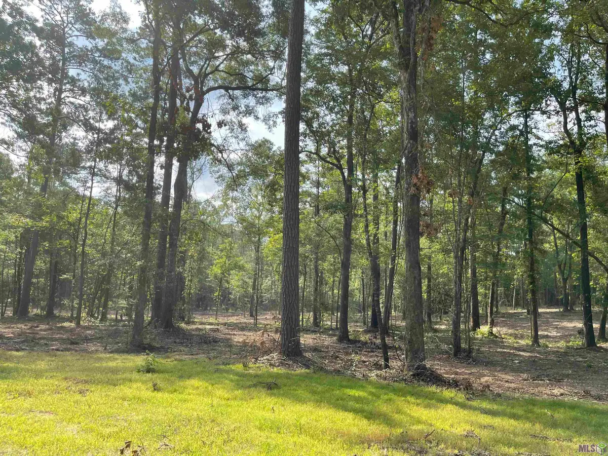 8105 Hepzibah Rd, Clinton, LA 70722 - #1