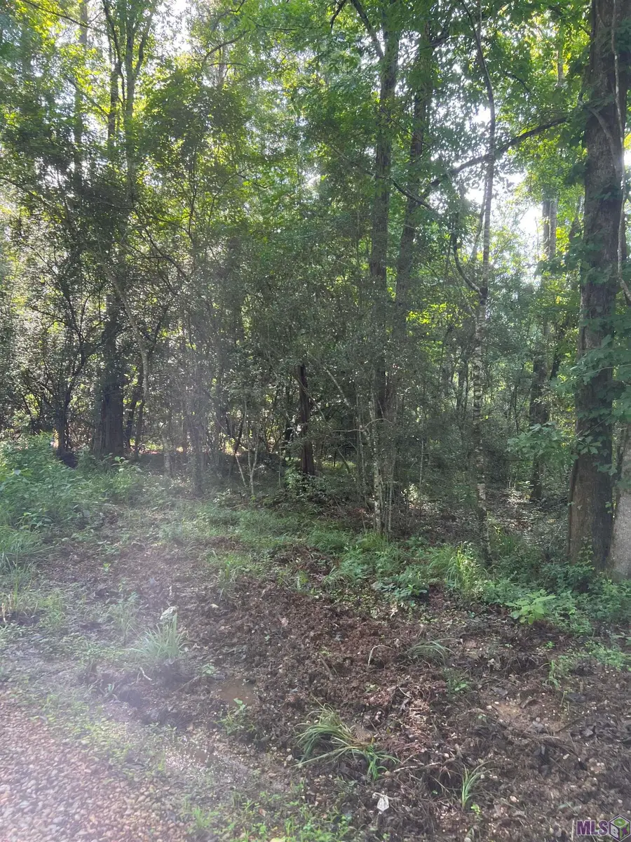 Lot 5 Hepzibah Rd, Clinton, LA 70722 - #3