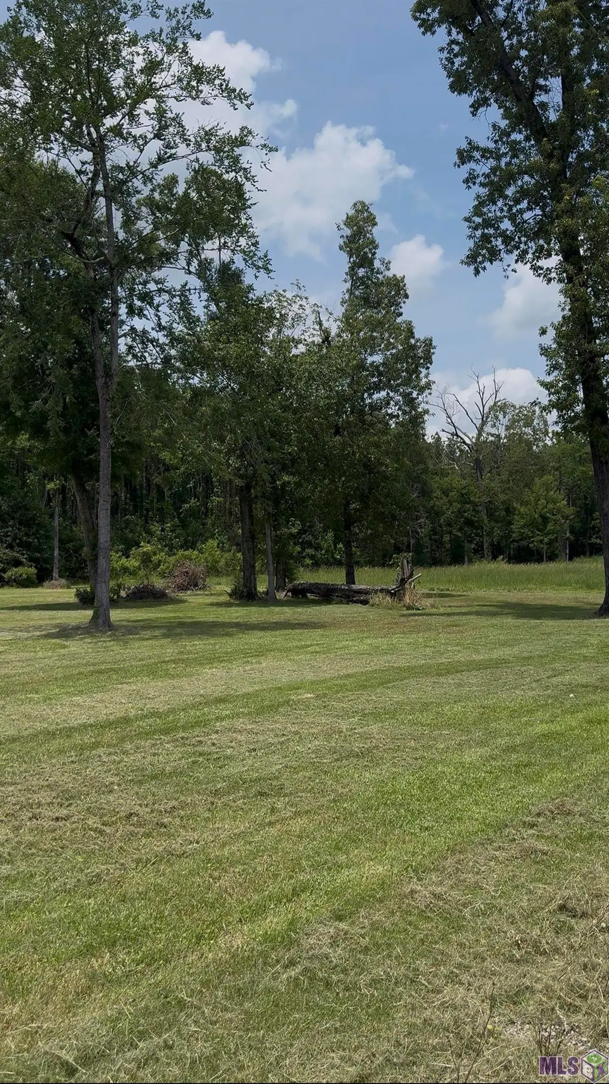 10030 Mauriel Ln, Baton Rouge, LA 70817 - #1
