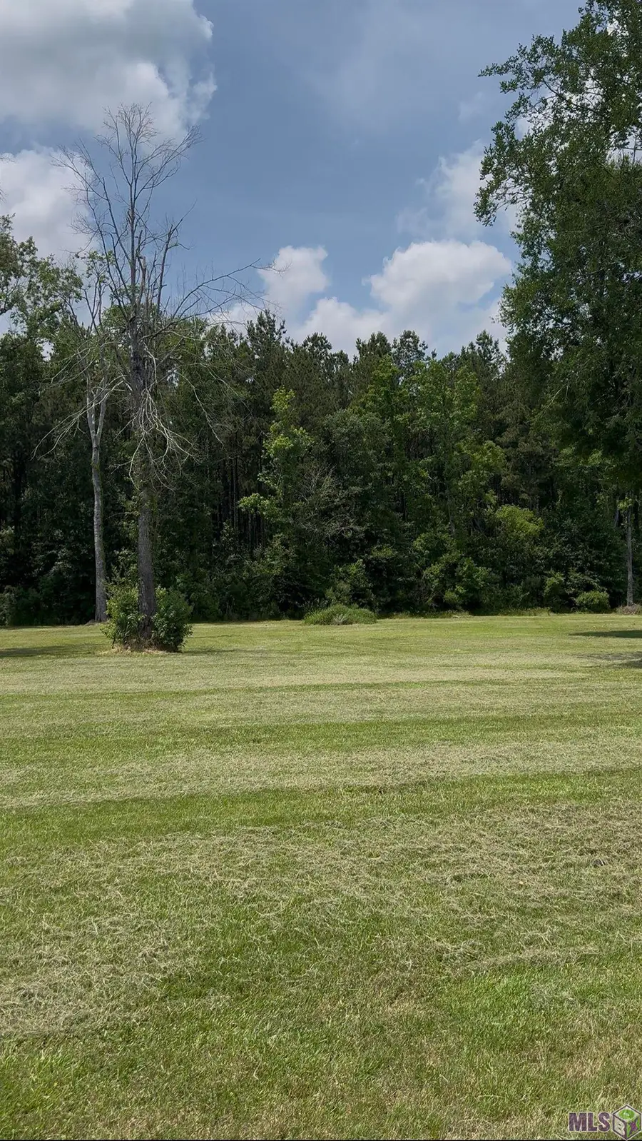 10030 Mauriel Ln, Baton Rouge, LA 70817 - #3