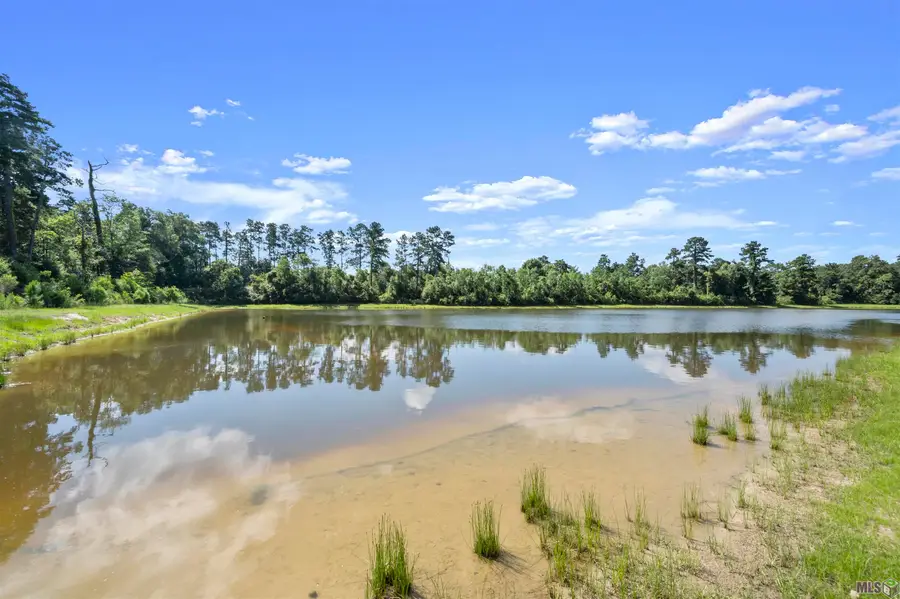 9674 Brookfield Ave, Denham Springs, LA 70726 - #3