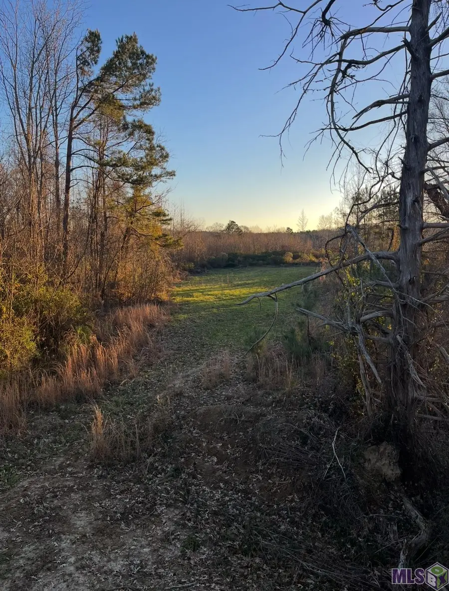 11255 Old Port Gibson Road, Other, MS 39086 - #2