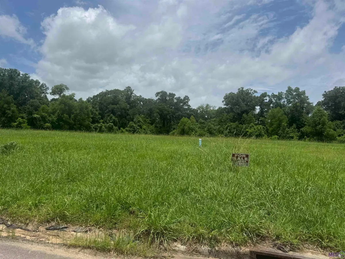 36112 Westin Ridge Dr, Geismar, LA 70734 - #1
