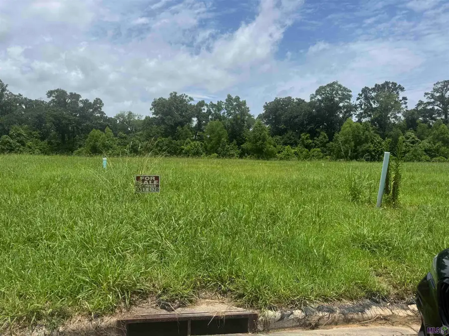 36112 Westin Ridge Dr, Geismar, LA 70734 - #2