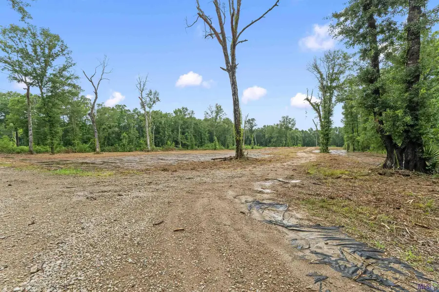 11973 Gurney Rd, Central, LA 70714 - #2