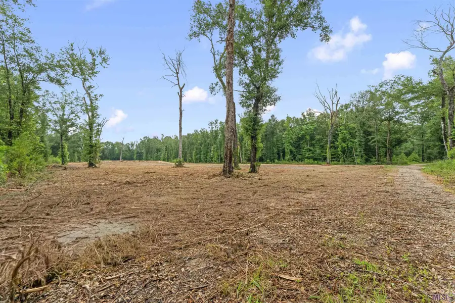 11973 Gurney Rd, Central, LA 70714 - #3