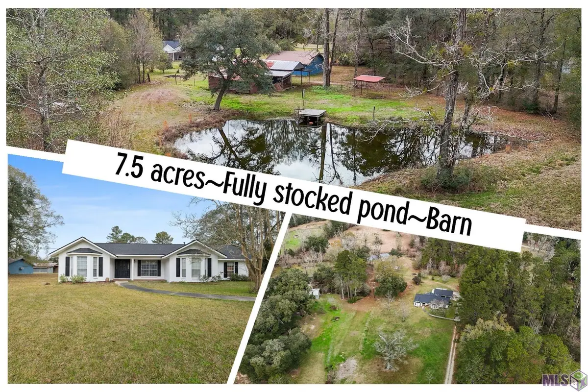 29417 Mary Kinchen Rd, Albany, LA 70711 - #1