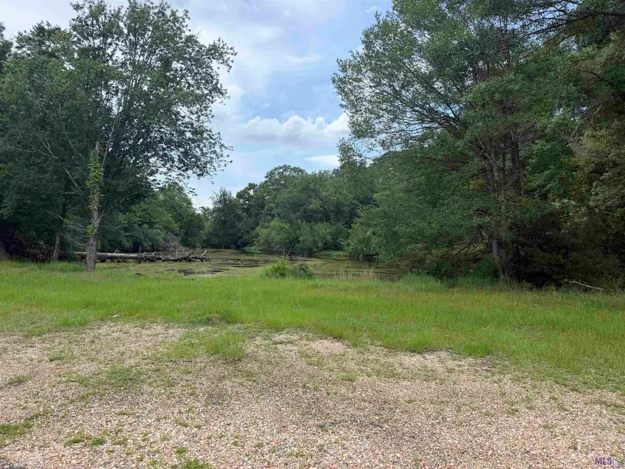 42702 Highway 10, Franklinton, LA 70438 - #3