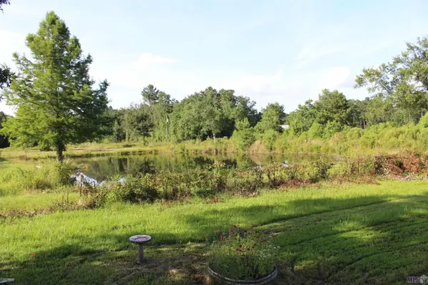 13505 Springfield Rd, Walker, LA 70785