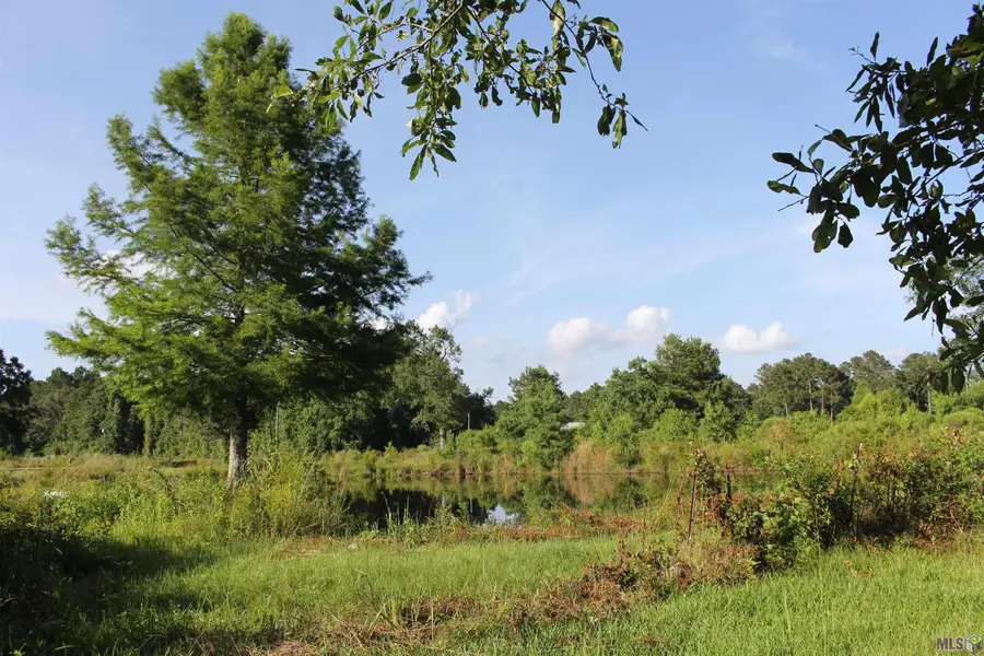 13505 Springfield Rd, Walker, LA 70785 - #3