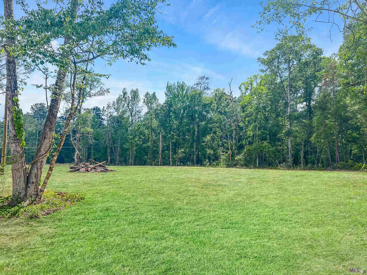 35096 Coy Holden Rd, Denham Springs, LA 70726 - #1