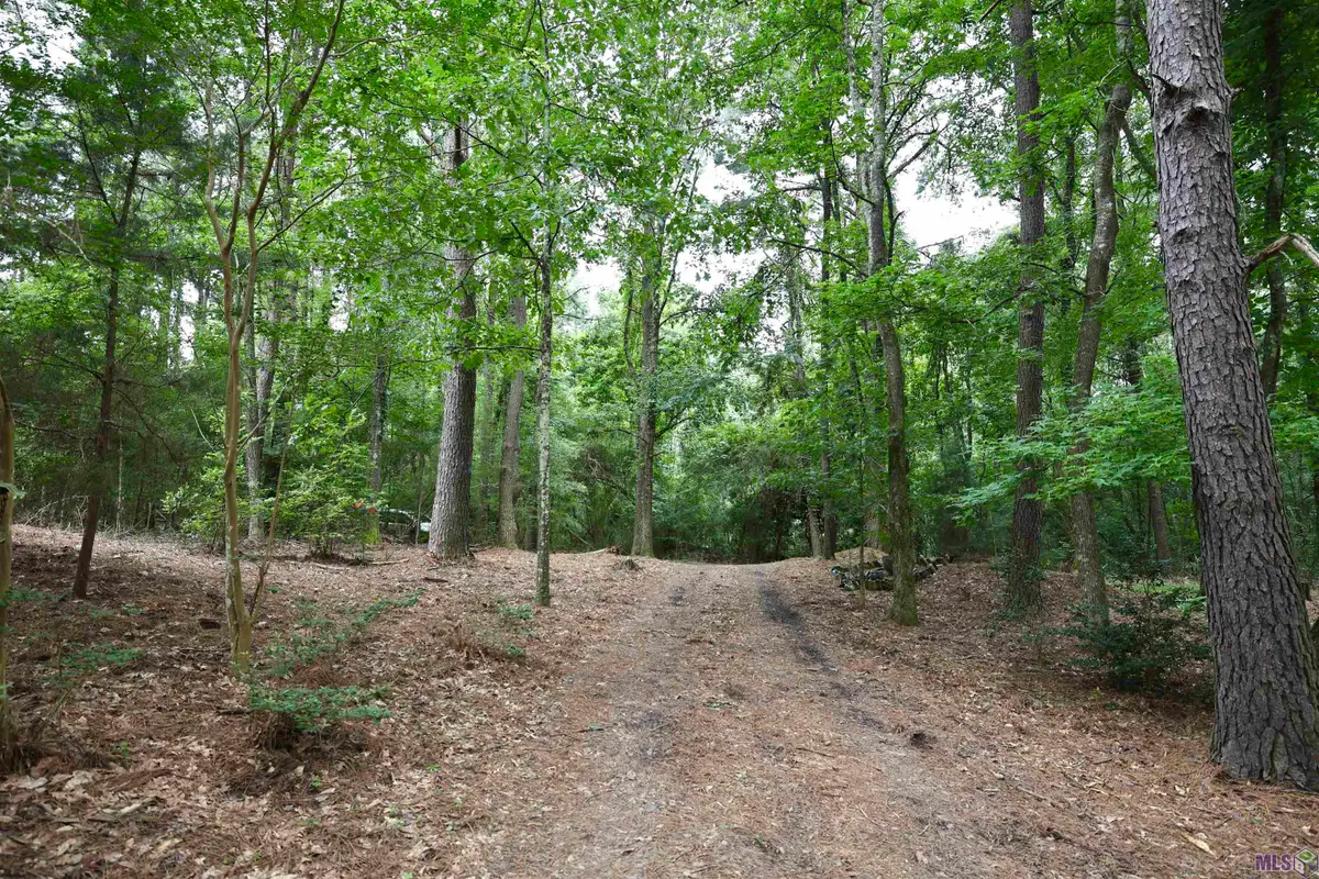867 Cherryfield Rd, Woodville, MS 39669 - #1