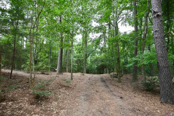 867 Cherryfield Rd, Woodville, MS 39669