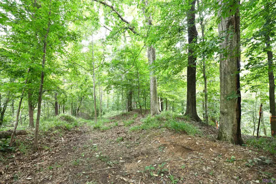 867 Cherryfield Rd, Woodville, MS 39669 - #3
