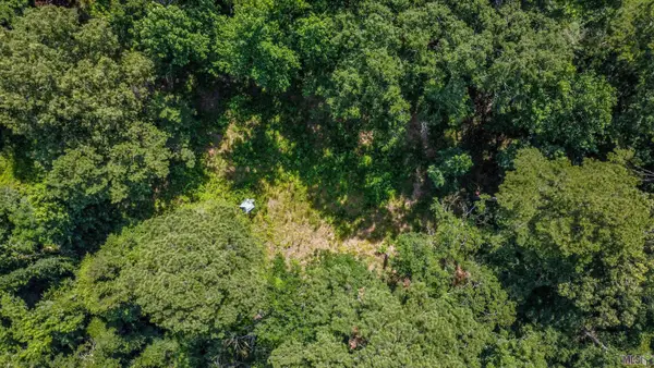 11460 La Hwy 967, St. Francisville, LA 70775