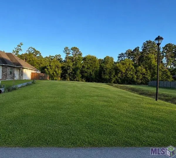 17832 H S Brignac Dr, French Settlement, LA 70733