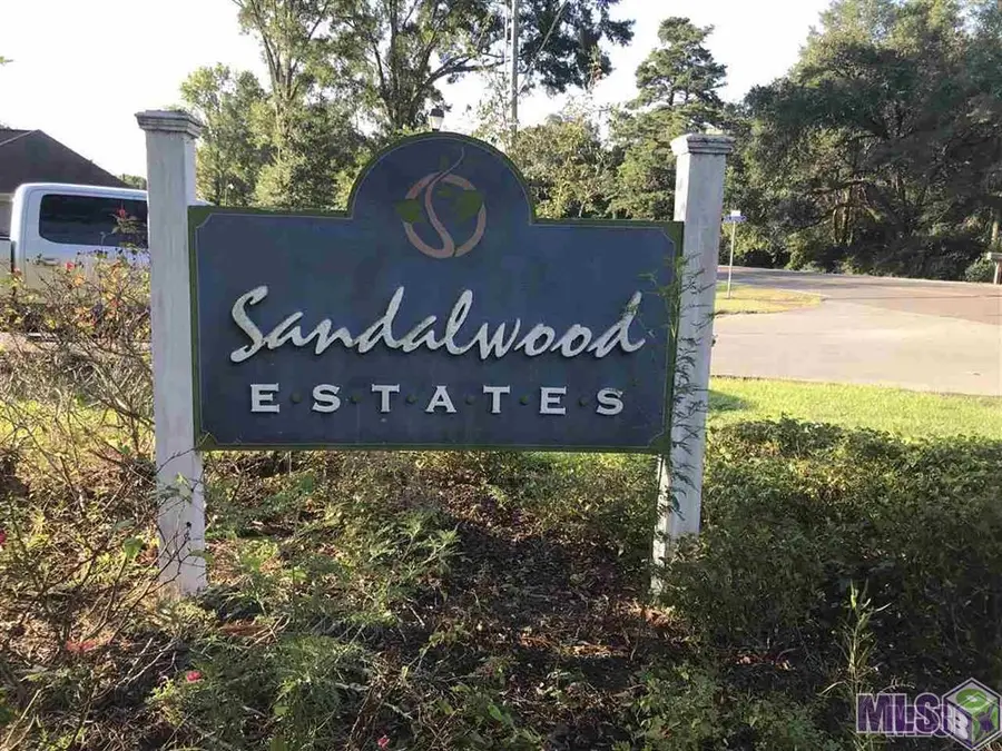 17832 H S Brignac Dr, French Settlement, LA 70733 - #2