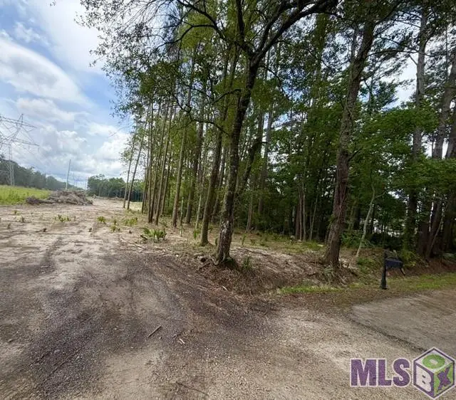 11402 Maxwell Dr, Walker, LA 70785 - #3