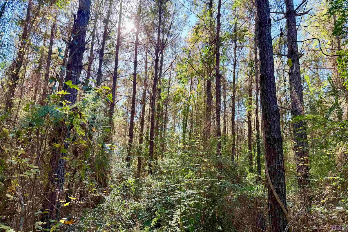 01 Bobcat Lane, Amite, LA 70422 - #1