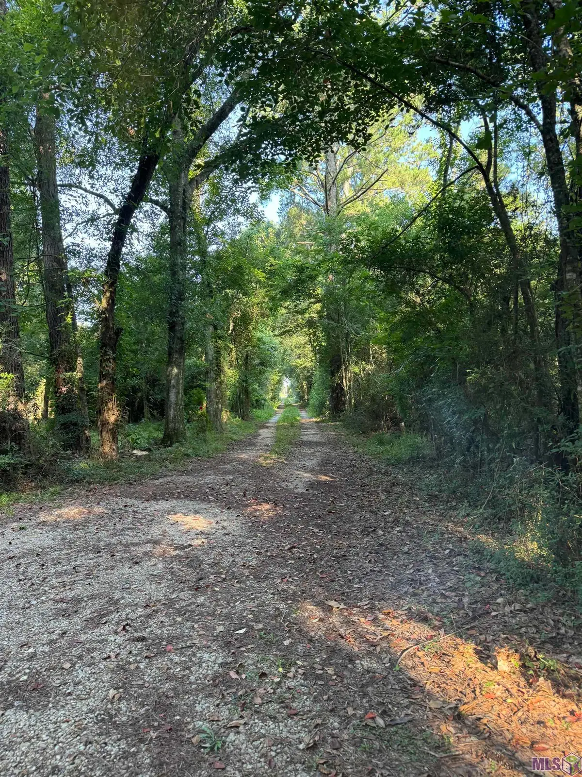17286 La Hwy 933, Prairieville, LA 70769 - #1
