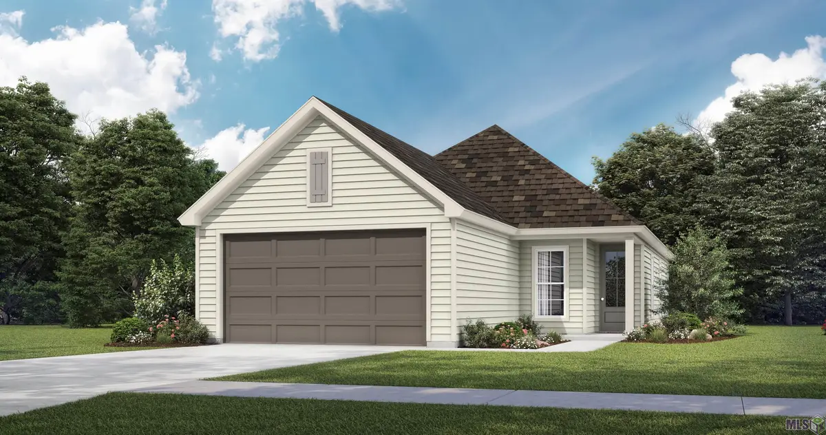 24154 Steller's Sea Drive, Denham Springs, LA 70726 - #1