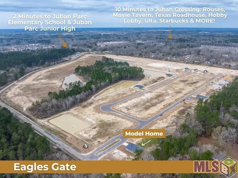 24154 Steller's Sea Drive, Denham Springs, LA 70726 - #2