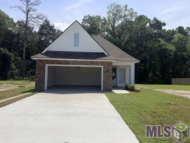 24130 Steller's Sea Drive, Denham Springs, LA 70726 - #3
