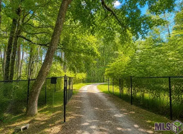 10700 Buddy Ellis Rd, Denham Springs, LA 70726