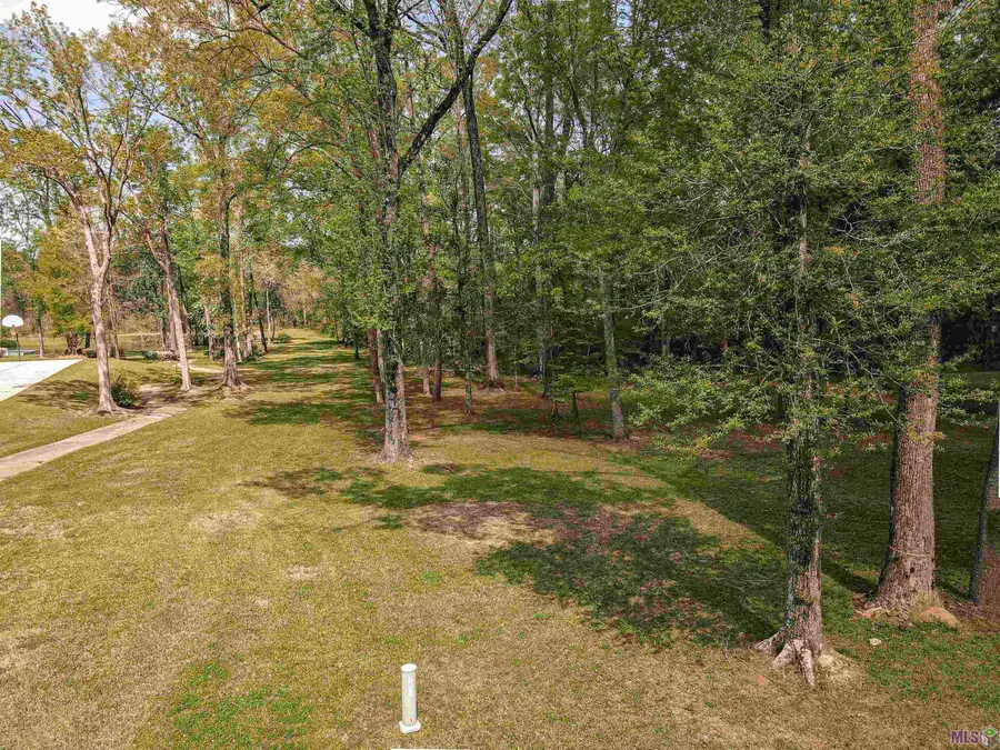 19537 Creek Round Ave, Baton Rouge, LA 70817 - #2