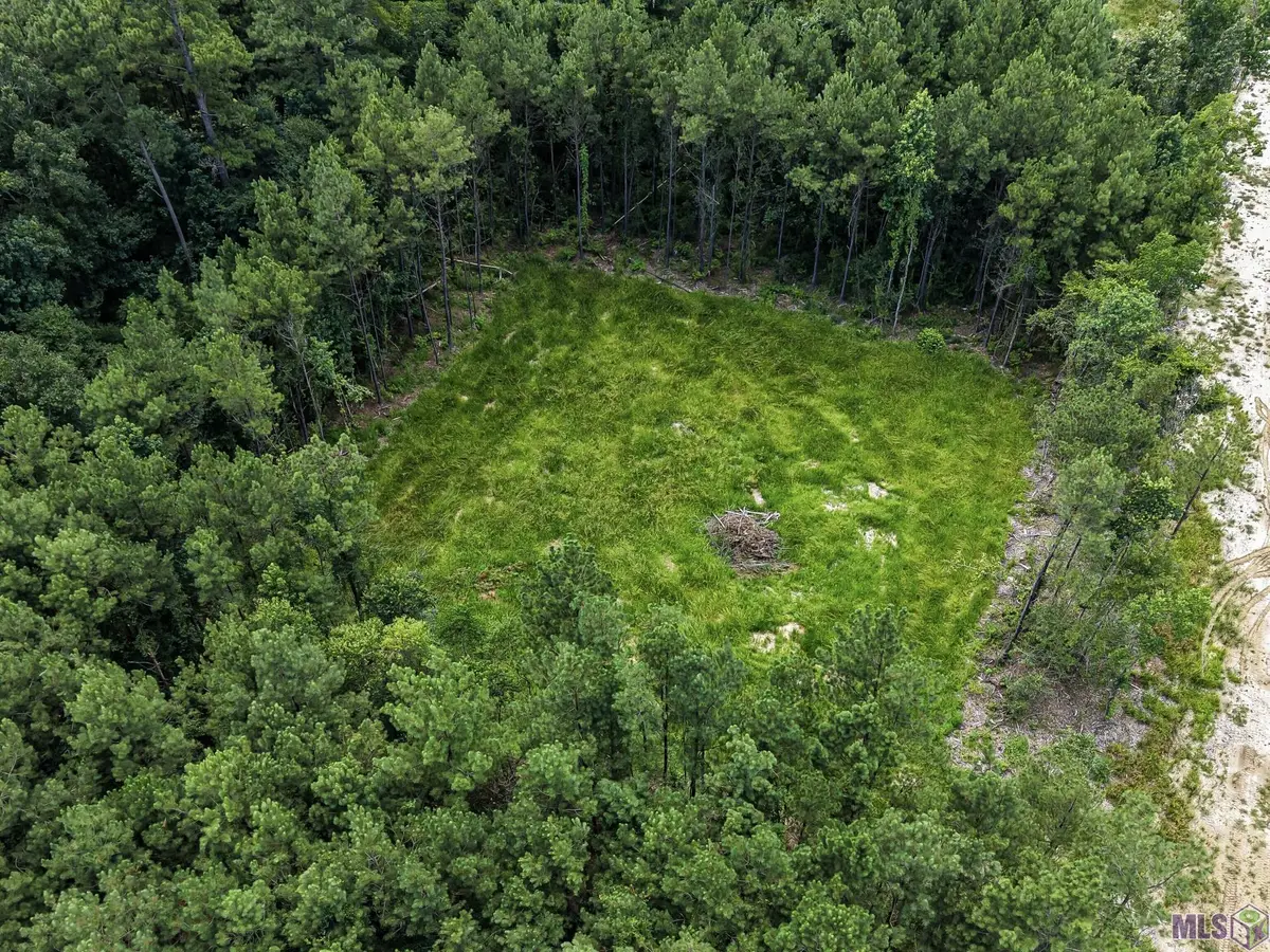 17249 Jack Allen Rd, Livingston, LA 70754 - #1