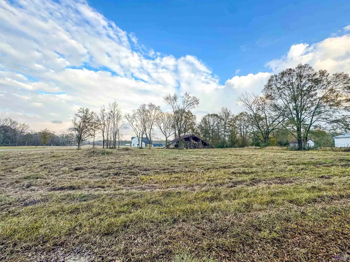 12618 Huntway Lane, Zachary, LA 70791 - #1