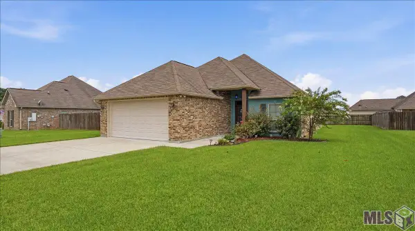 25305 White Lake Ave, Livingston, LA 70754