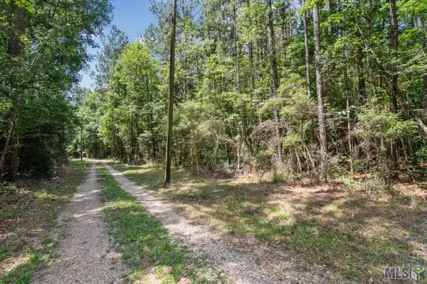 Lot 1 Pace Rd, Clinton, LA 70722