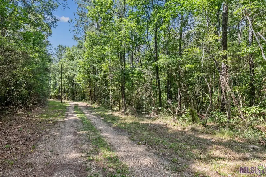 Lot 1 Pace Rd, Clinton, LA 70722 - #2