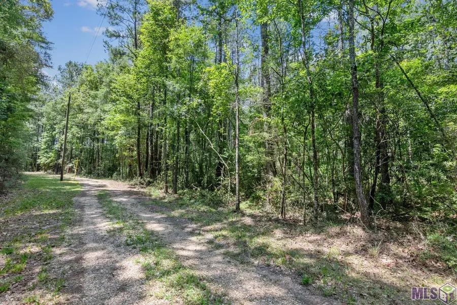 Lot 1 Pace Rd, Clinton, LA 70722 - #3
