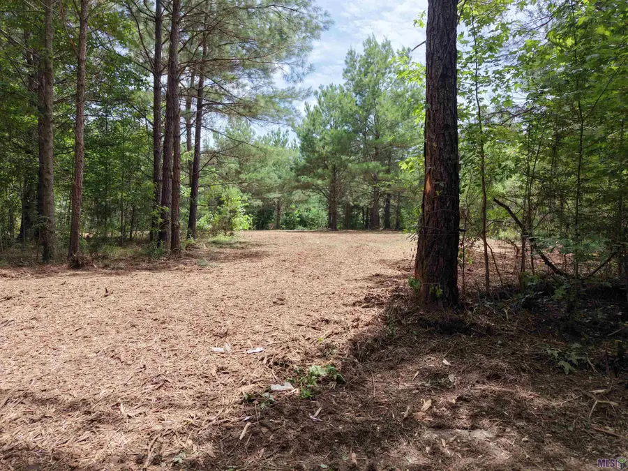 Tract A Jackson Rd, Kentwood, LA 70444 - #2