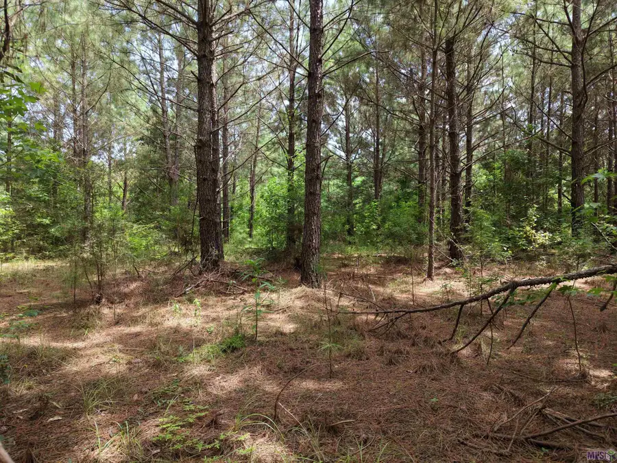 Tract B Jackson Rd, Kentwood, LA 70444 - #3