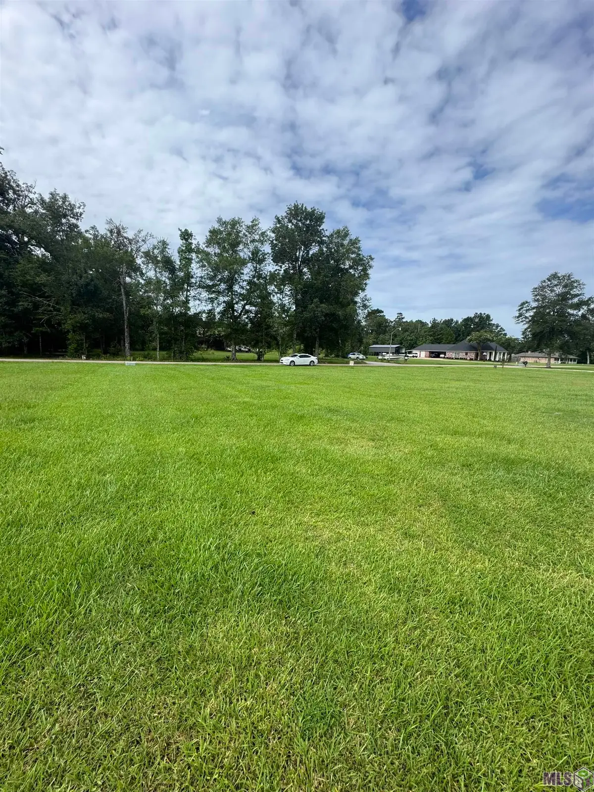10605 Carol Lynn Rd, Denham Springs, LA 70726 - #1