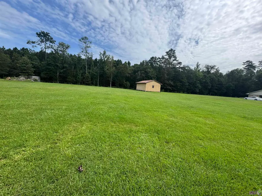 10605 Carol Lynn Rd, Denham Springs, LA 70726 - #2